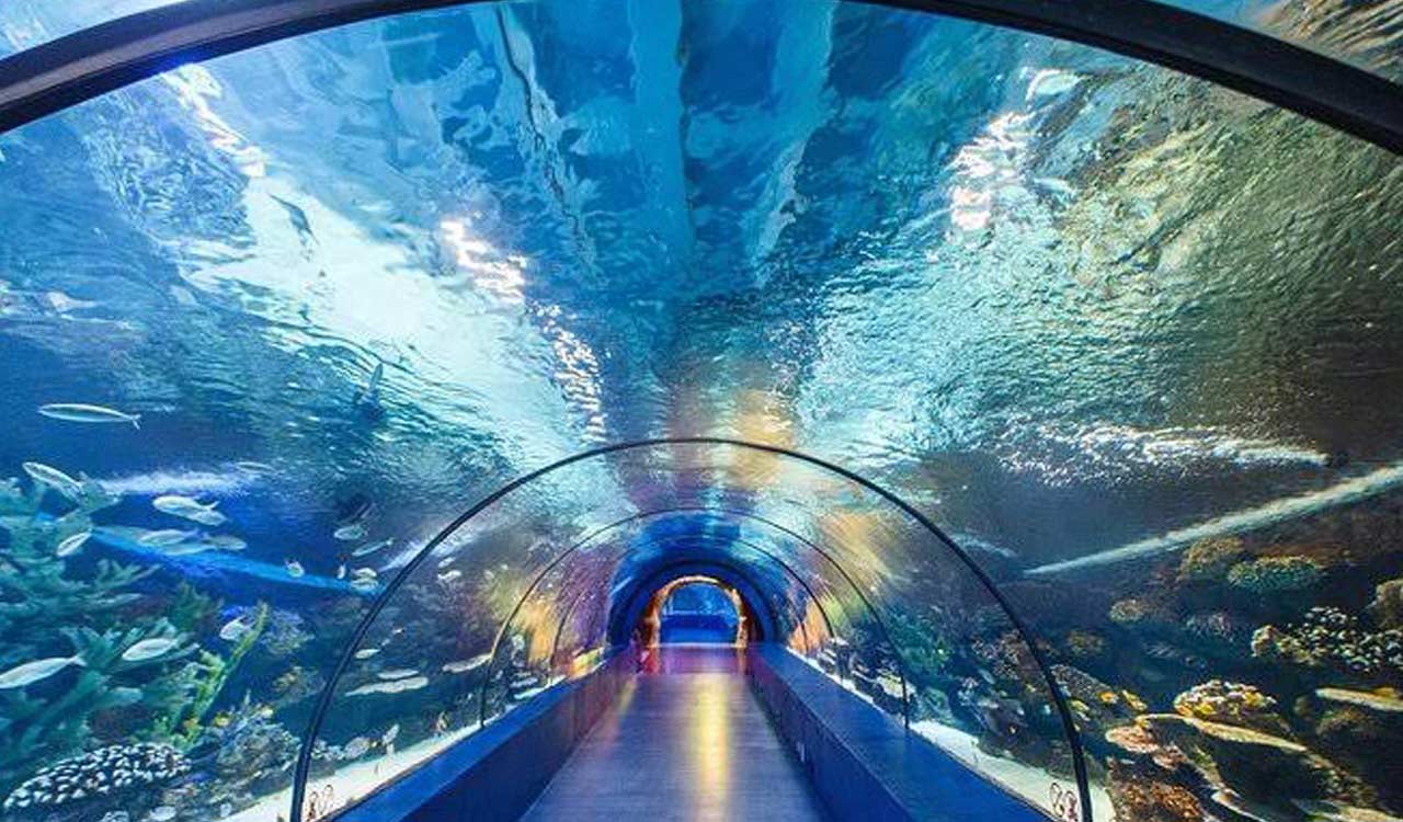 India’s largest tunnel aquarium ‘Aqua Marine Park’ to come up in Hyderabad