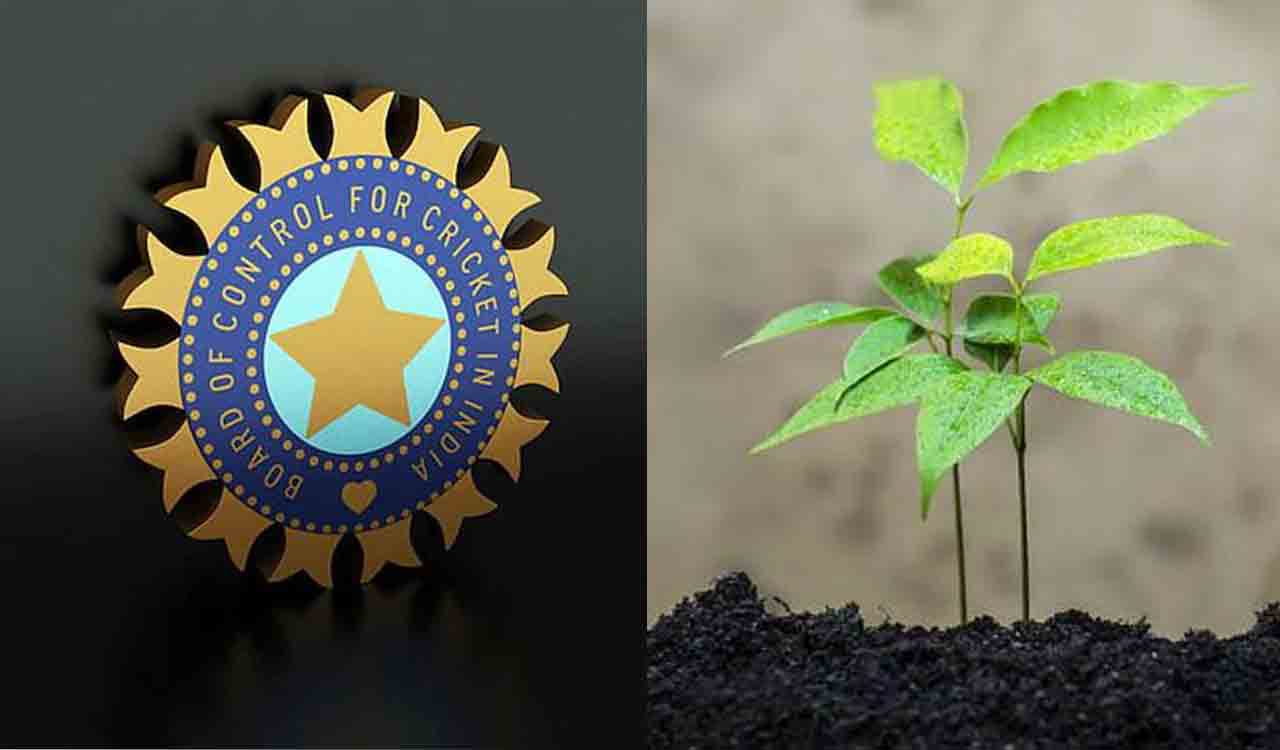 BCCI plants 1,47,000 saplings in IPL 2023 playoff matches