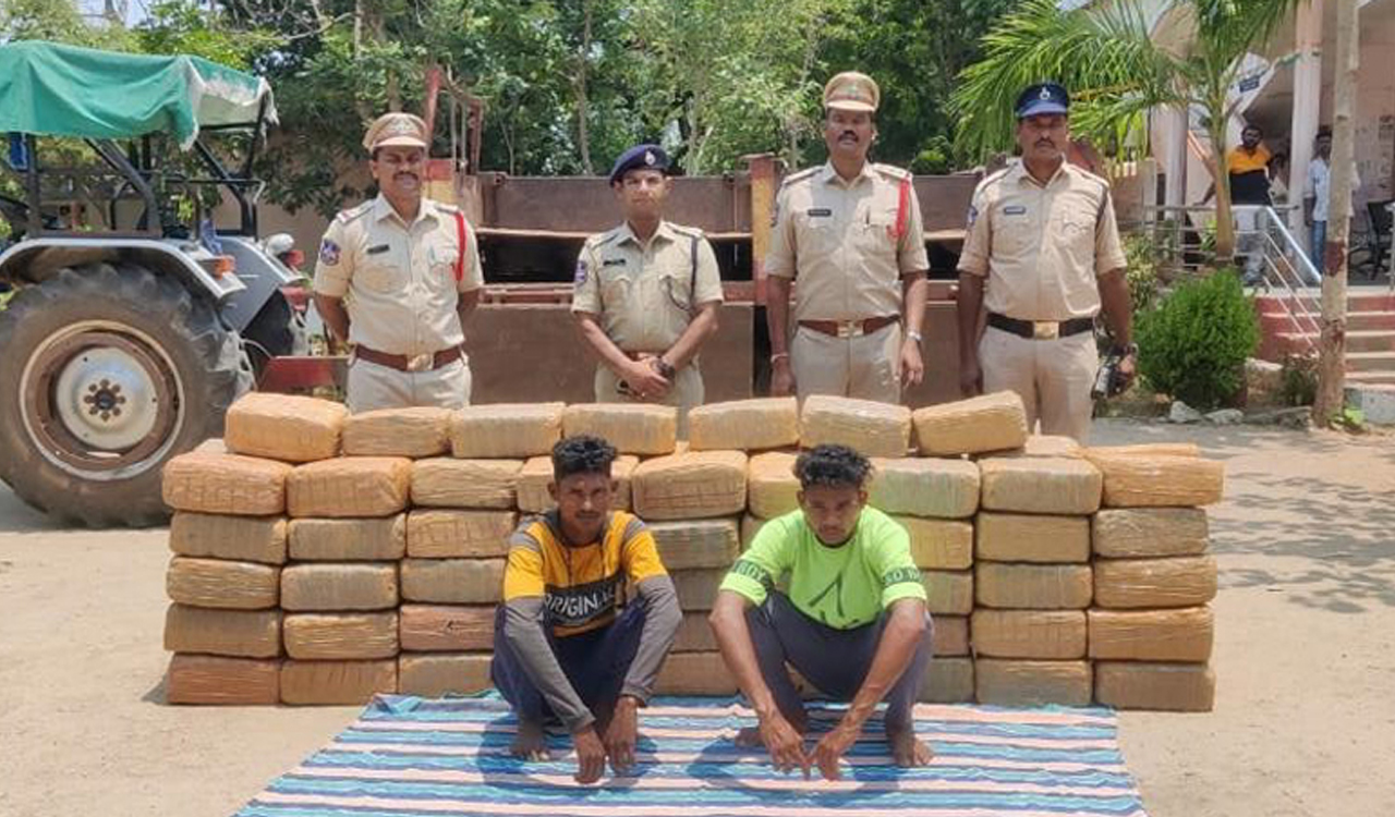 Ganja worth Rs 1 crore seized at Bhadrachalam
