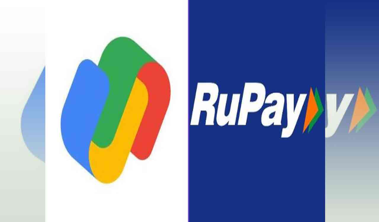 Google Pay allows users to make payments via RuPay credit card