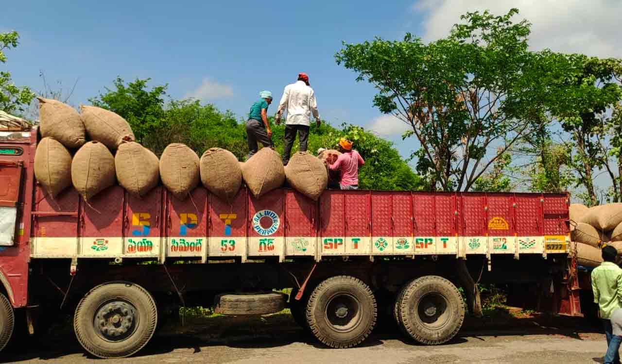Telangana: SERP procures Rs 7 crore worth red chillies in Mahabubabad