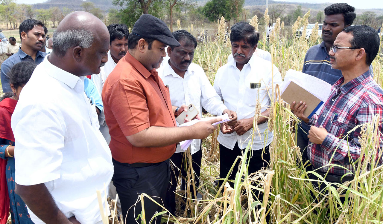 Collector Rahul Raj assures support to rain-hit farmers in Adilabad