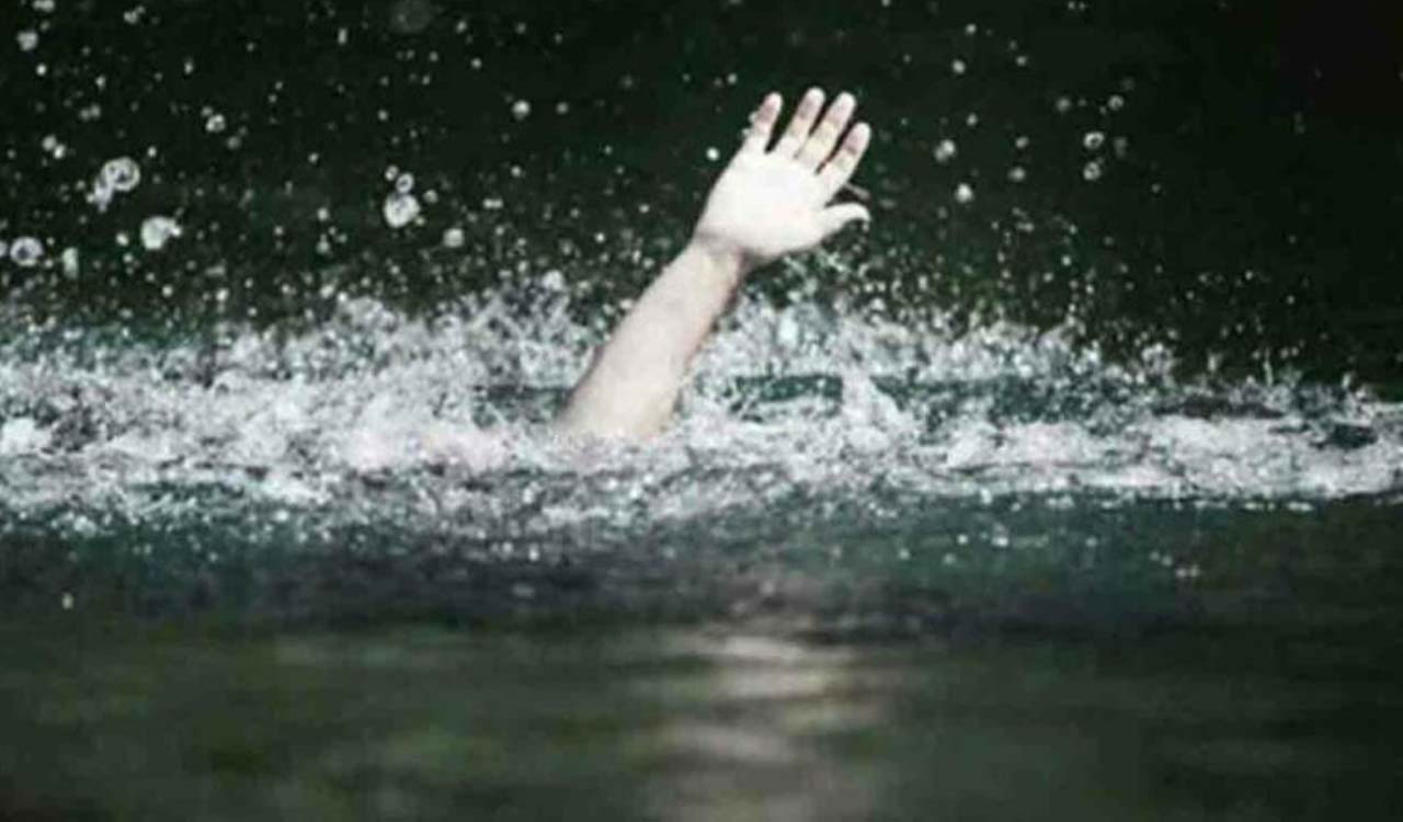 Telangana: Farmer fleeing from swarm of bees, drowns in well