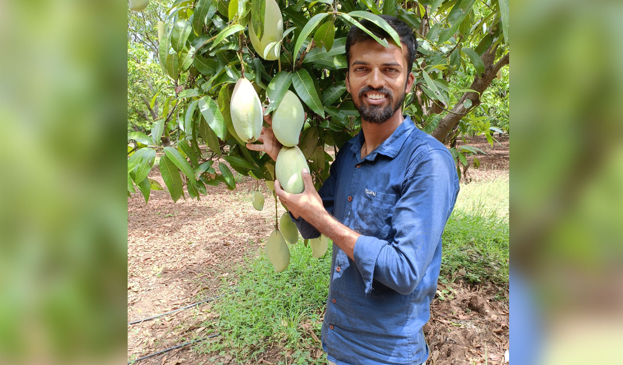 Mancherial quality analyst turns organic farmer