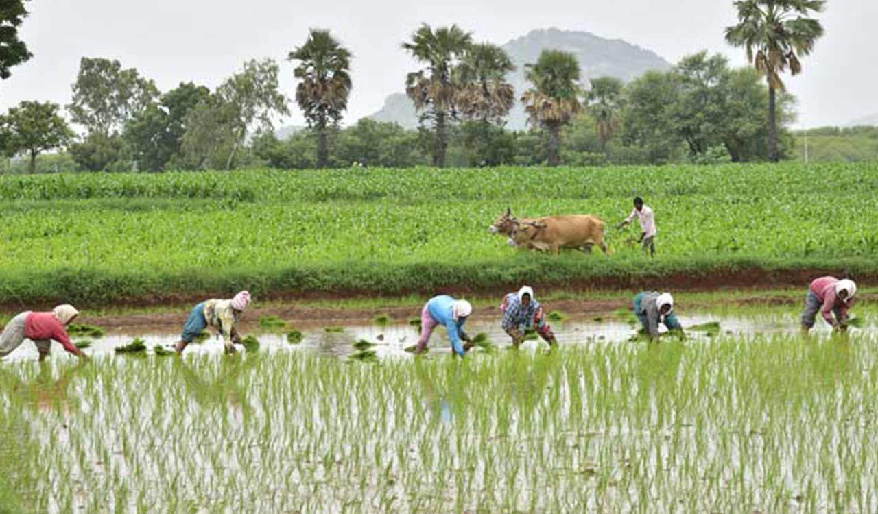 Android App stops succour under PM Fasal Bima Yojana