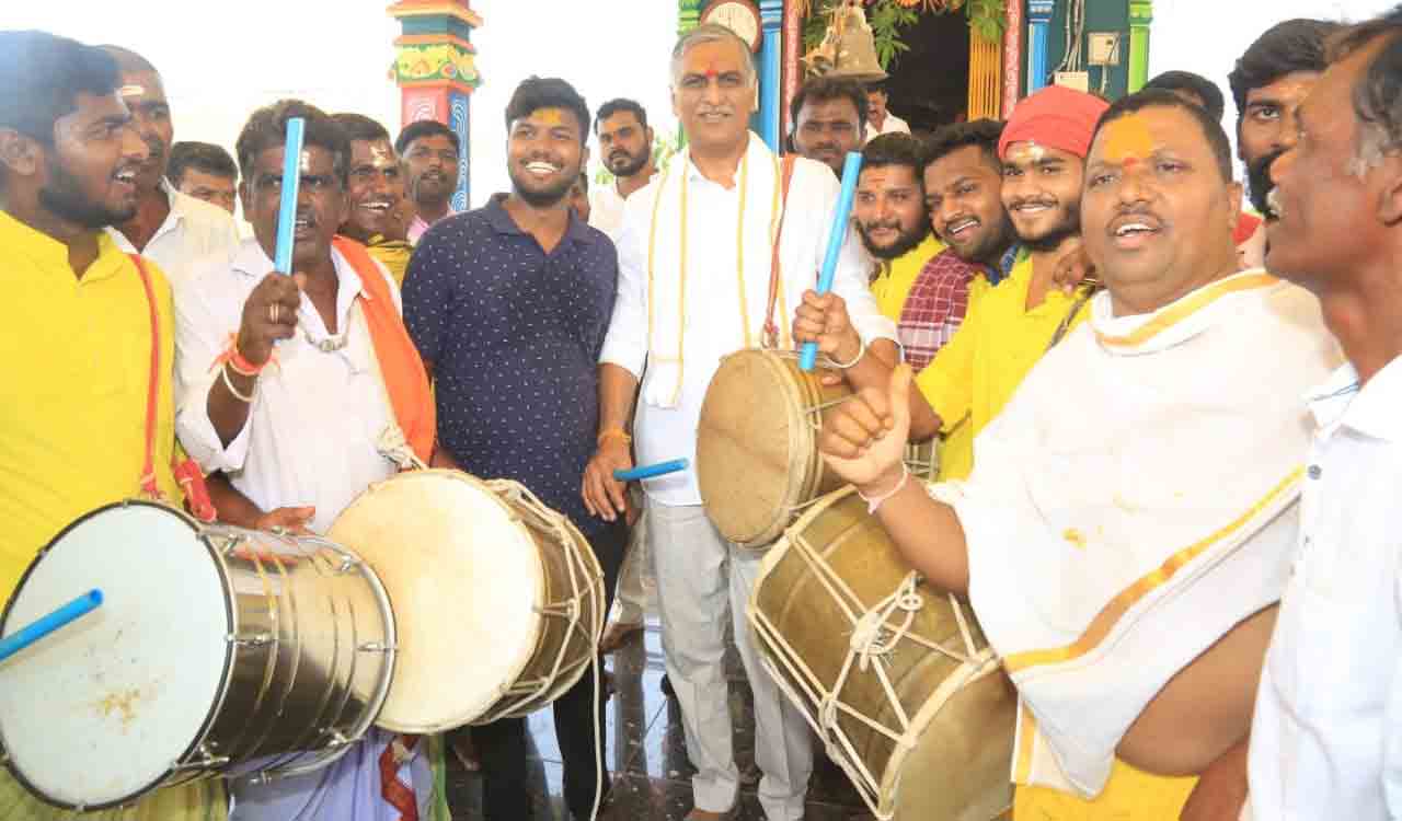 Grow green manure crops to increase paddy yield: Harish Rao tells farmers