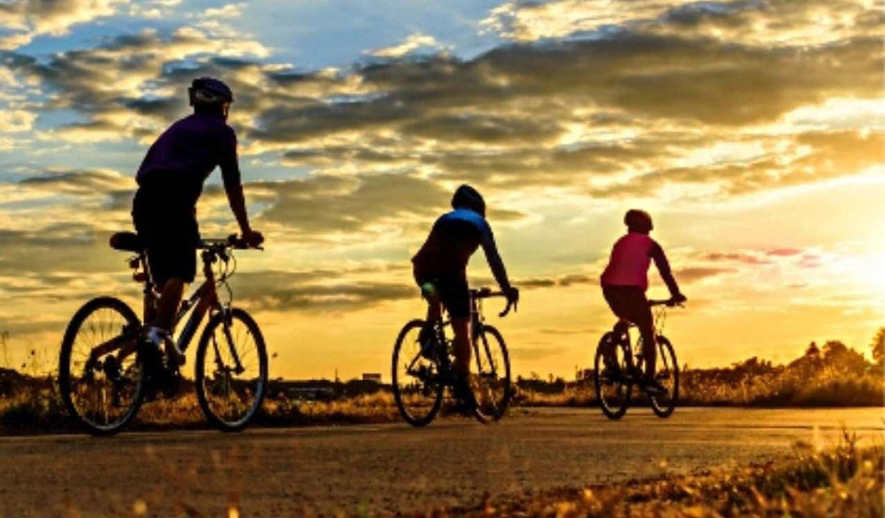 Indian expats among 15 injured in hit-and-run accident in Kuwait