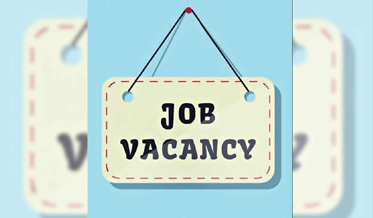 DEET: Job openings for graduates, MBA holders