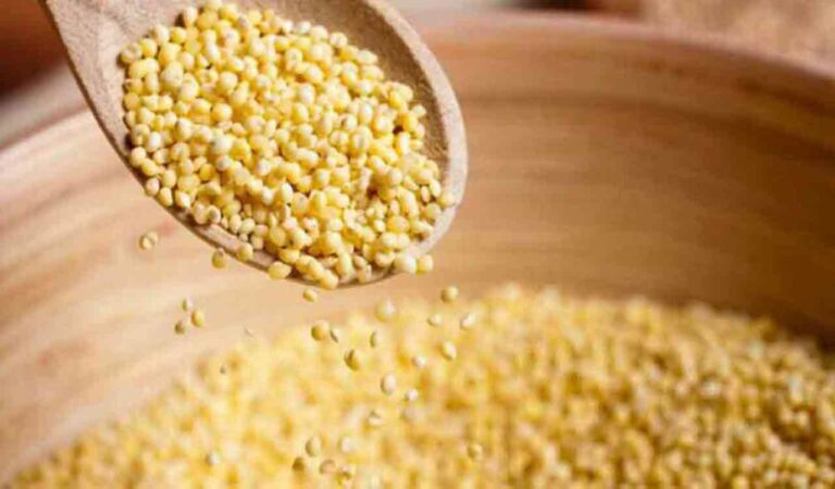 Millet