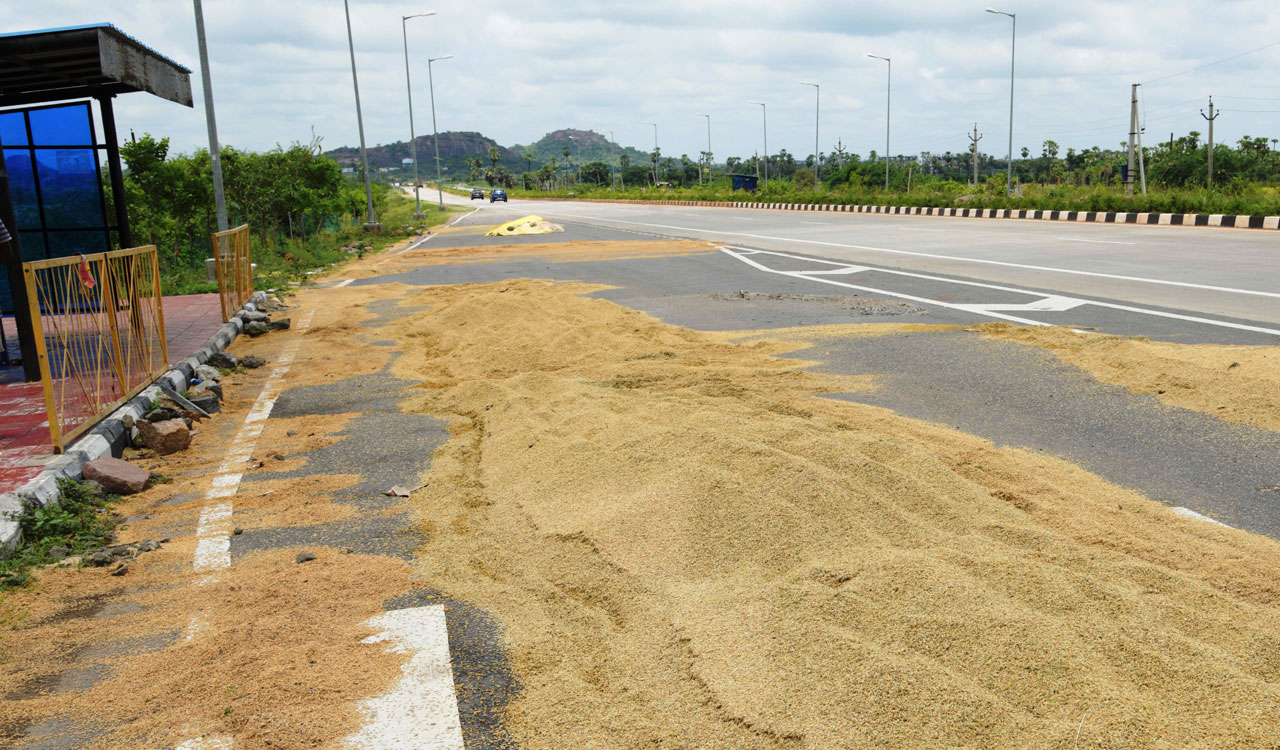AP pays Rs.1,277 cr for paddy damaged by rain to farmers