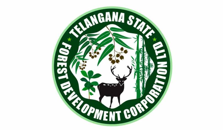 Tsfdc