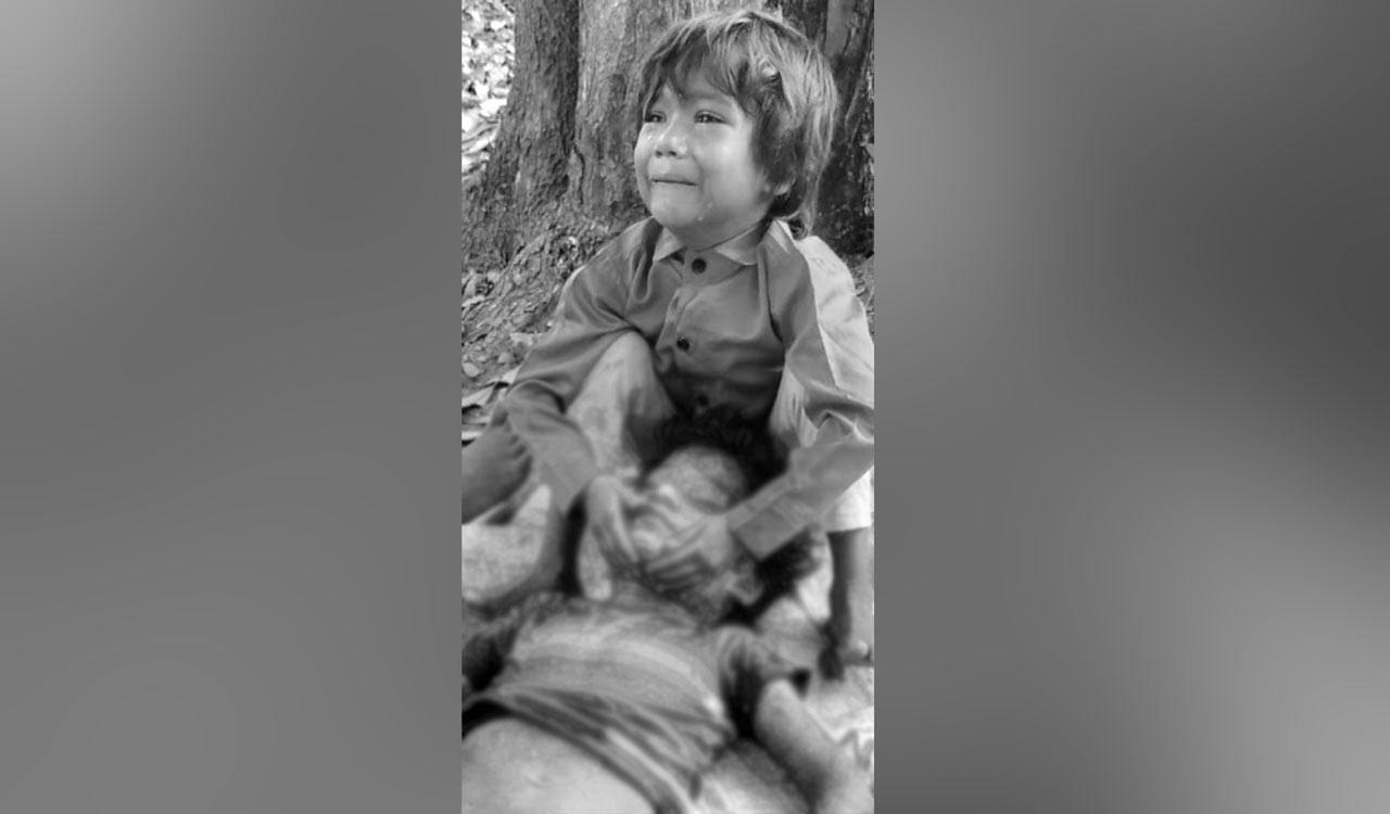 Telangana: Street dogs maul and kill seven year old boy in Kazipet