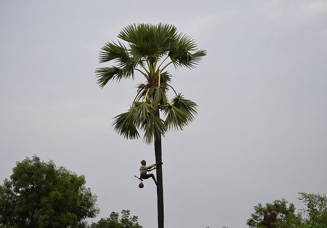 CM KCR announces ‘Geeta Karmikula Bima’, assures farmers of total procurement