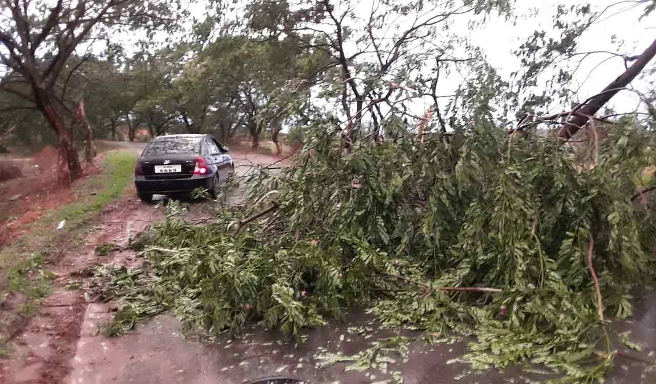 Unseasonal rains batter several parts of Kamareddy