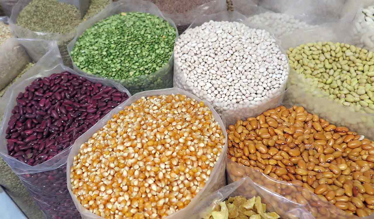 PJTSAU organises seed mela