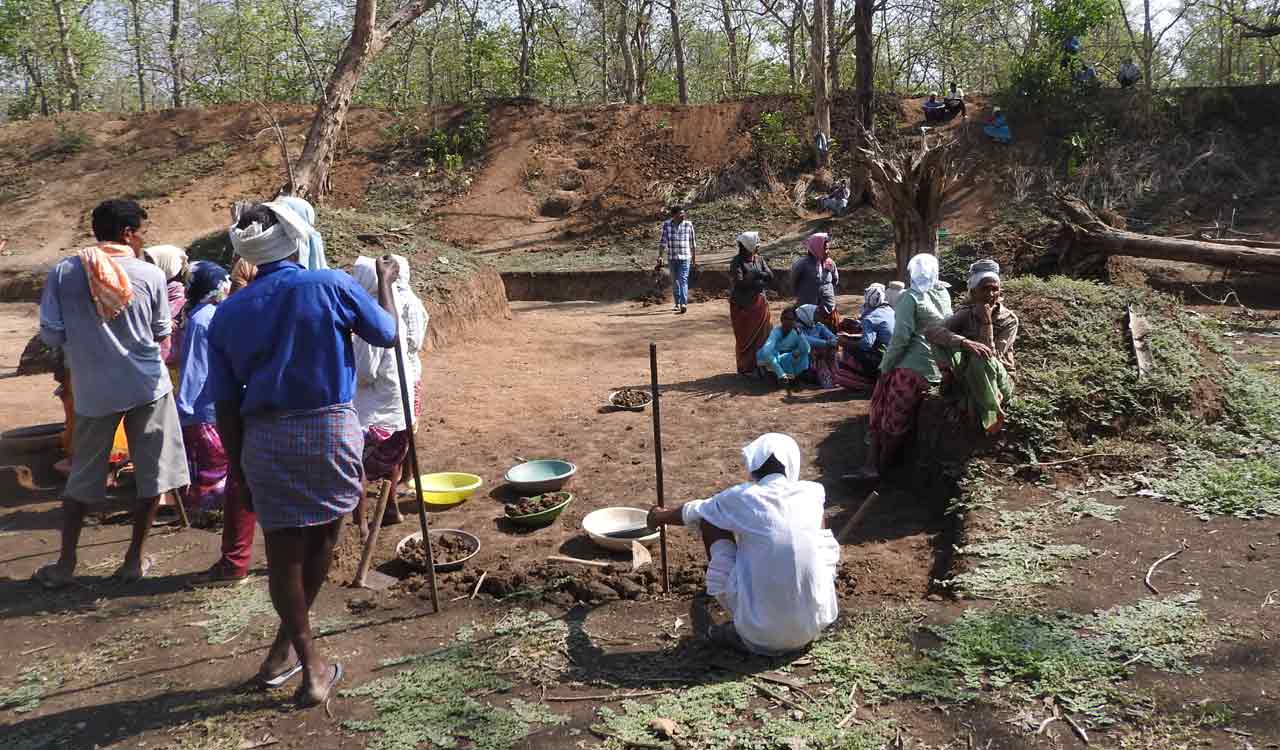 Kawal Tiger Reserve offers livelihood to villagers through NREGS