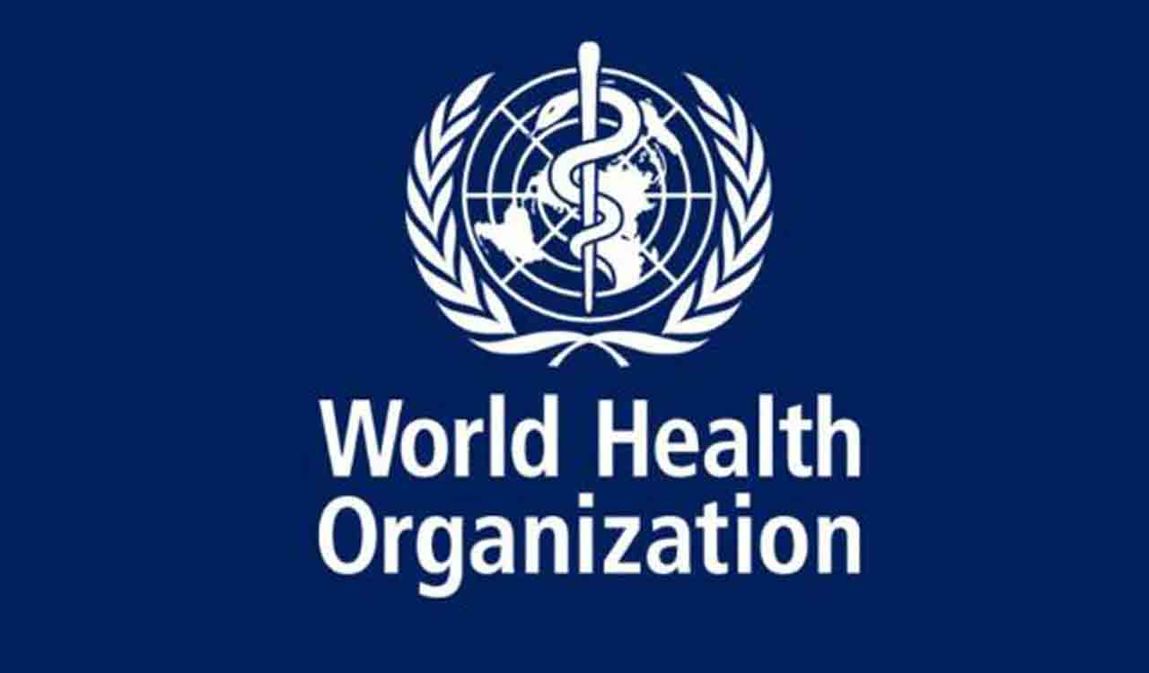 WHO advises against use of artificial sweeteners for weight loss. Here’s why