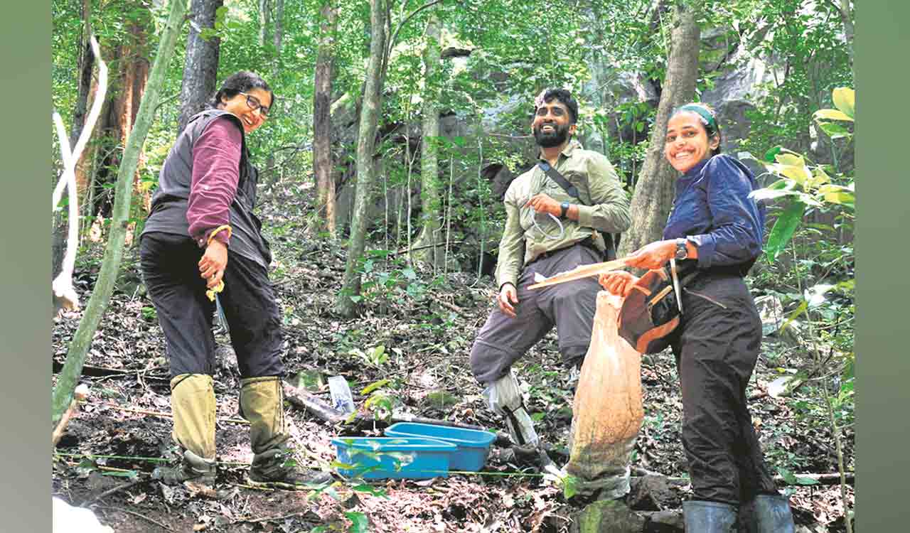 ‘Western Ghats are both museum and cradle of diversity for woody plants’