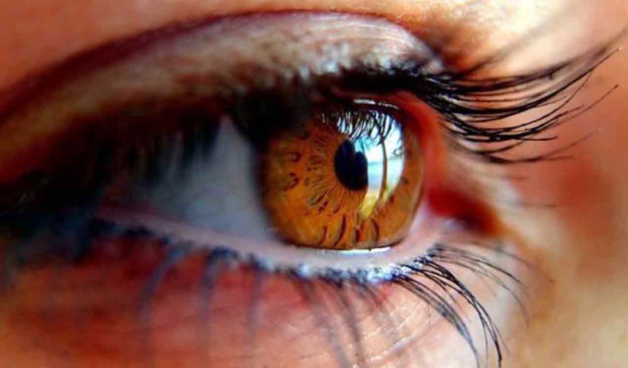 New kind of blindness found: LVPEI researchers