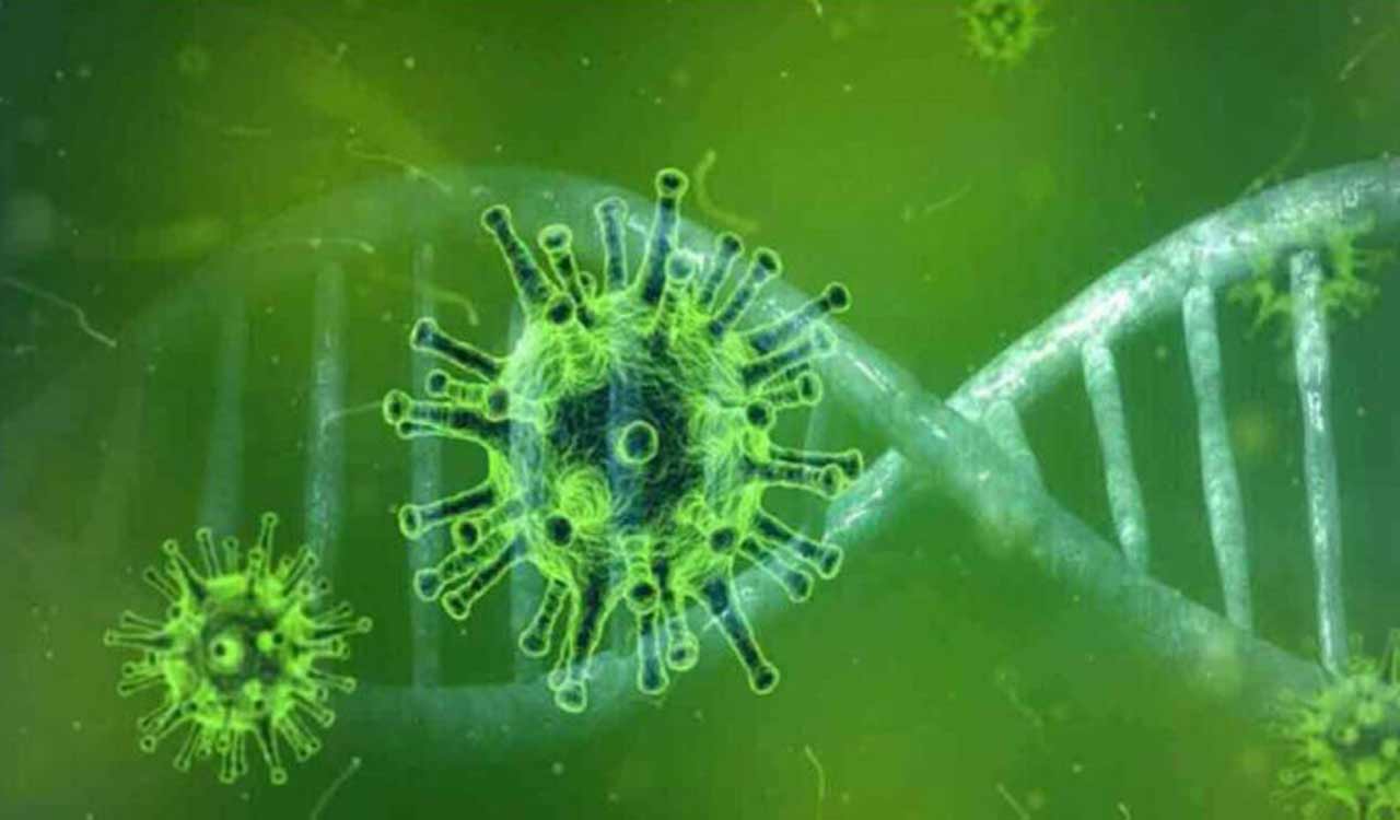 Active Covid cases in India decline to 14,493