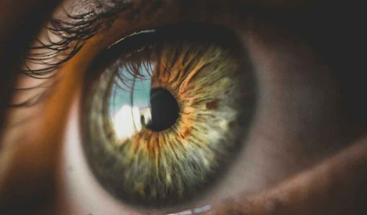 Prioritize eye-health to prevent any kind of damages during summer: Experts