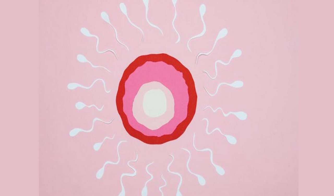 Shift work takes toll on female fertility, says new study