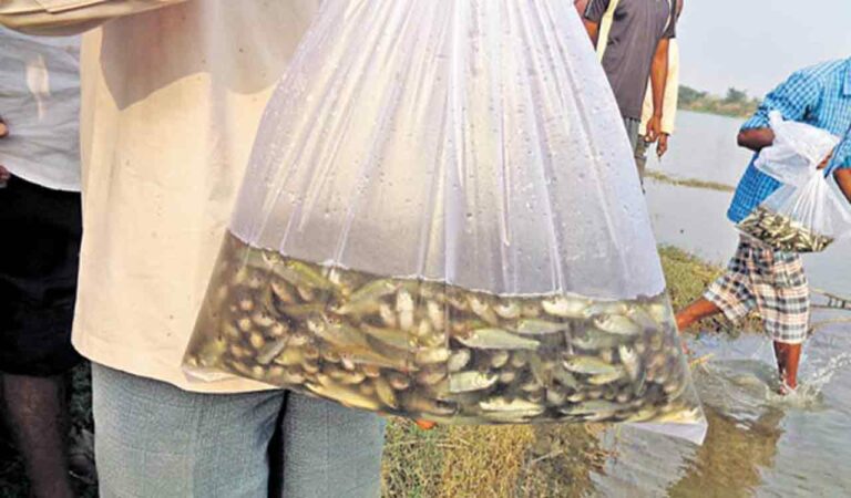 Fishlings