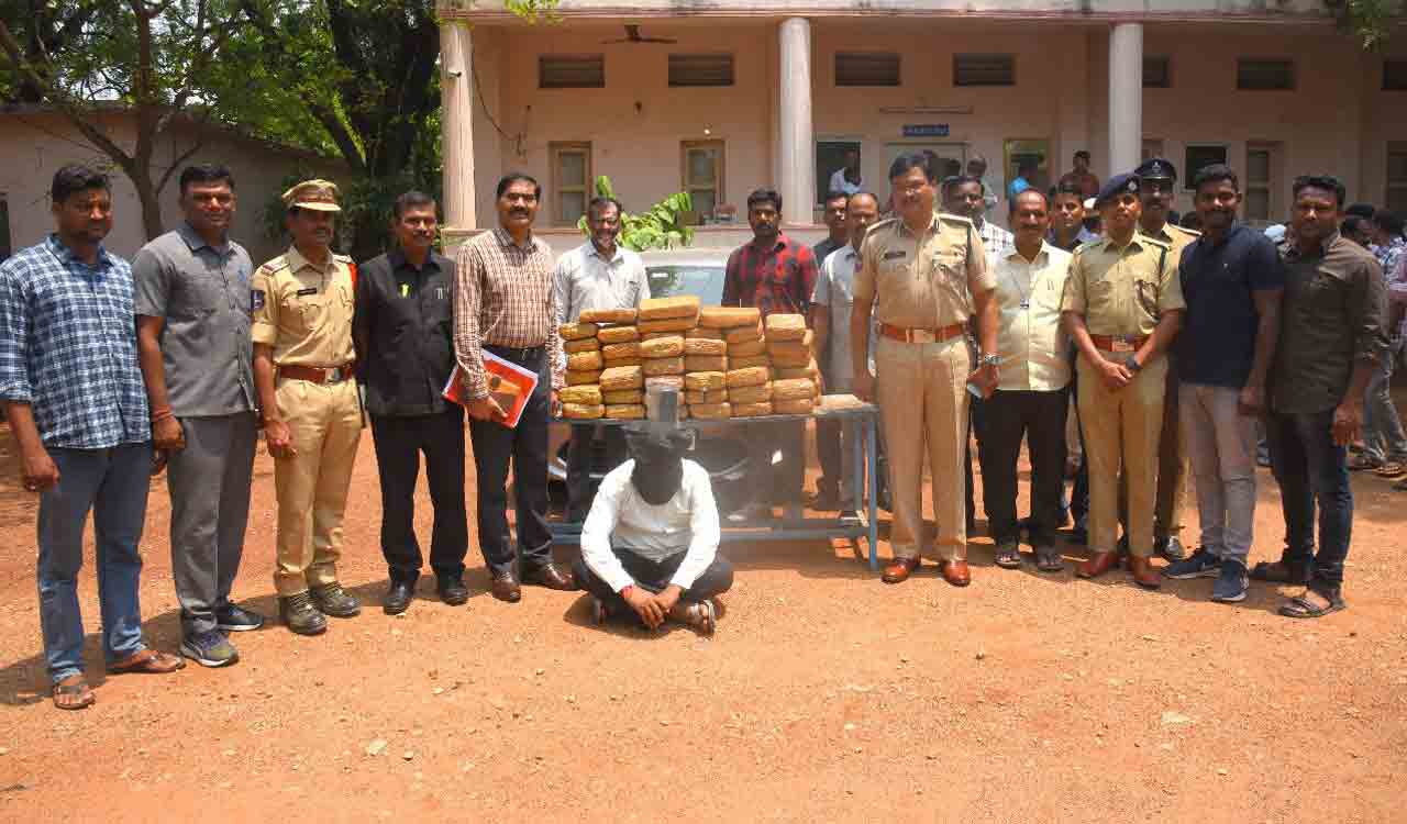 Ganja peddler arrested, 120 kgs of substance seized