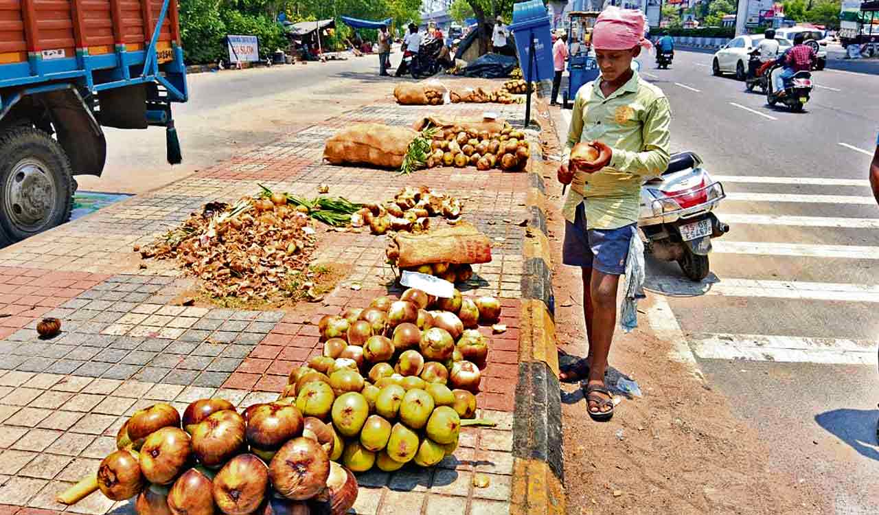 Rise in mercury levels make people crave ice apples in Hyderabad