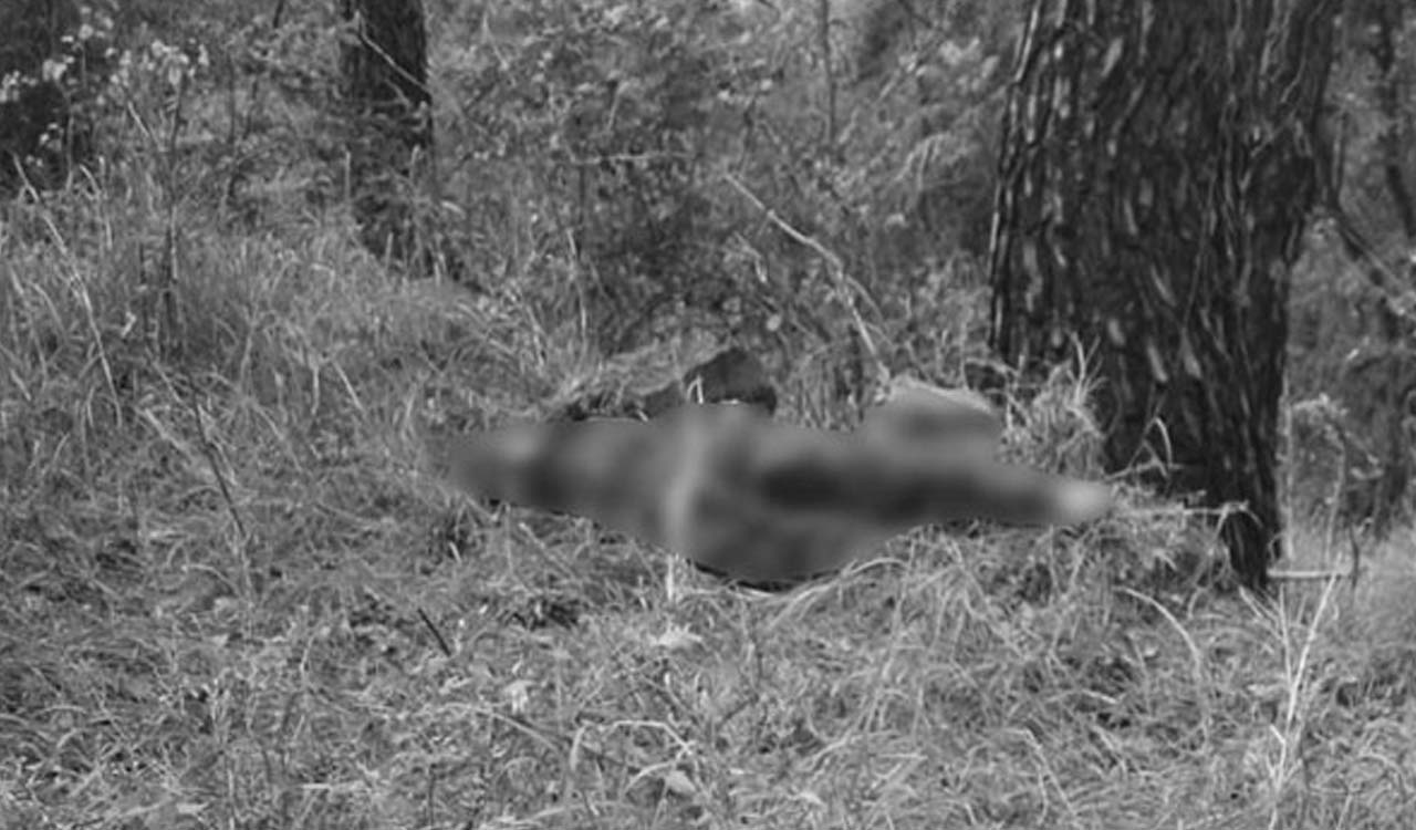 Jammu and Kashmir: Intruder killed by Army in Poonch sector