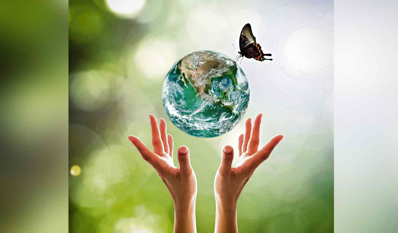 Opinion: Climate and Biodiversity Framework