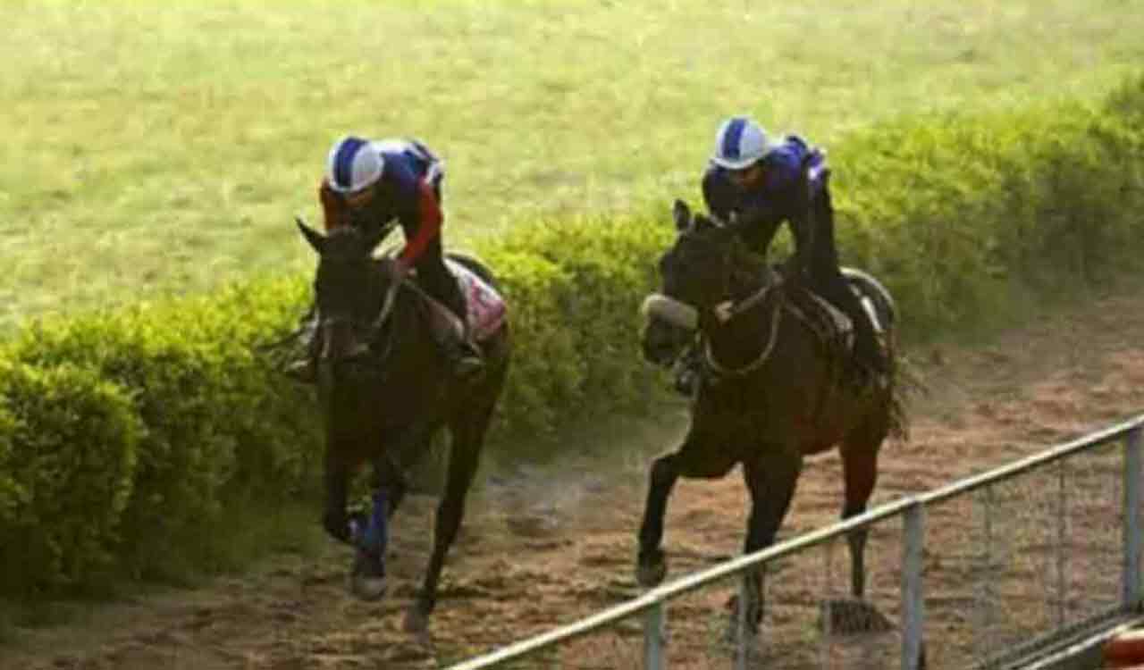 Horse Racing: Bertha set to win Ooty feature