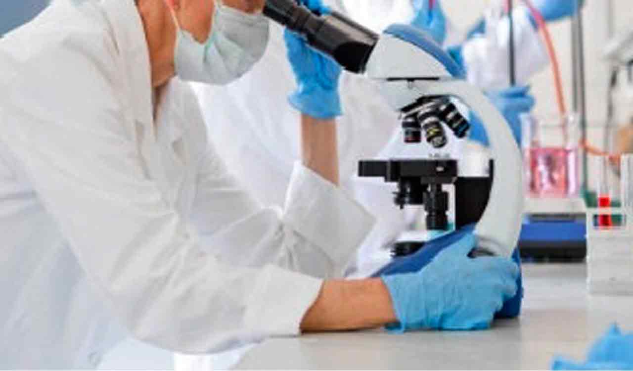 Scientists raise concerns about popular Covid disinfectants