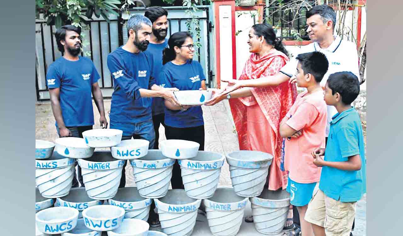 Hyderabad: NGOs helping strays, birds survive heat