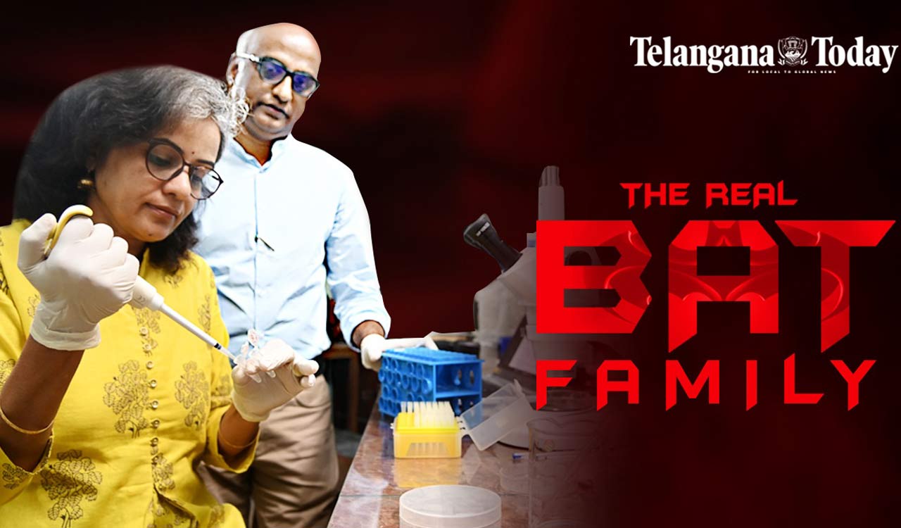 Hyderabad Scientists Conserving Bats | The Bat Family