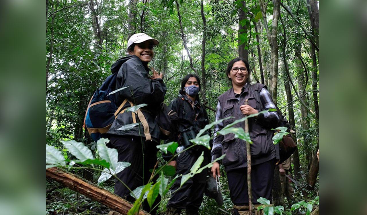 Species traits, geography predict genetic diversity in centipedes: Study