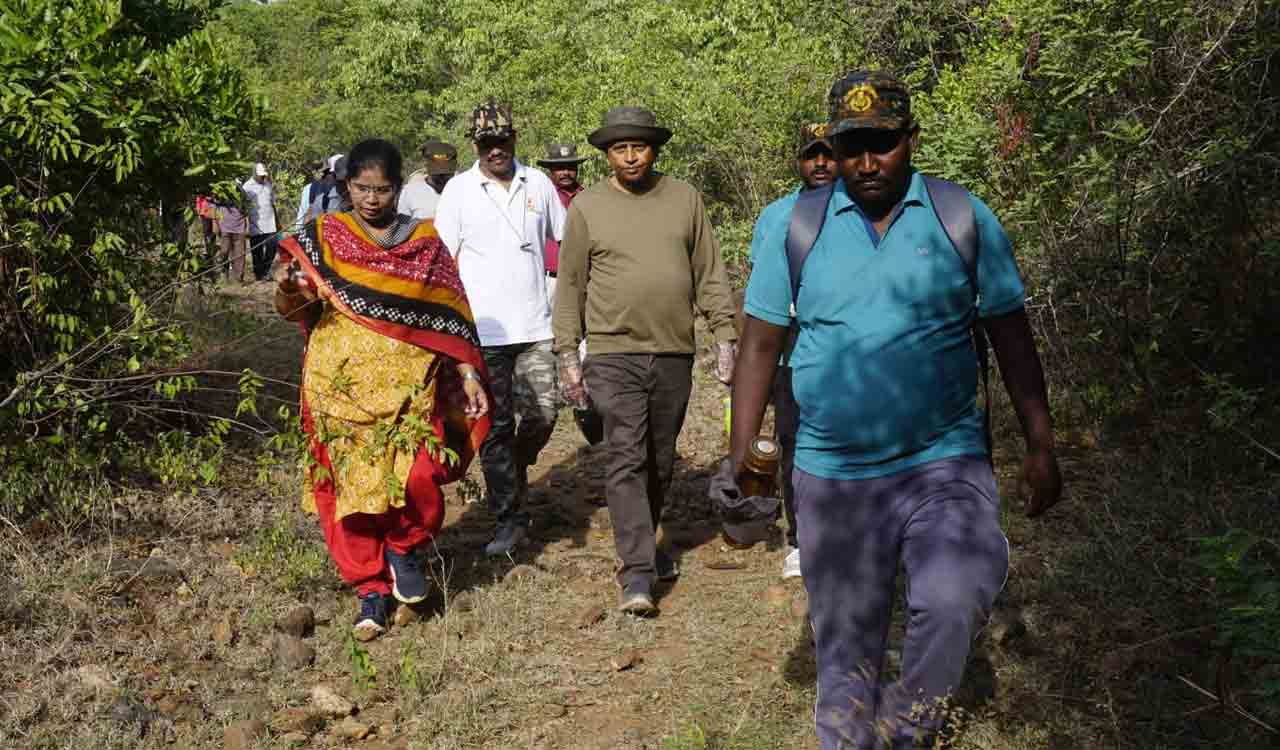 Declare Devanur forest area as Reserve Forest: Centre urged