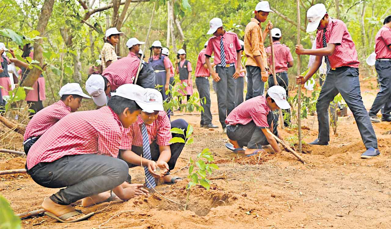 Harithotsavam: HMDA takes up plantation of 1.90 lakh saplings