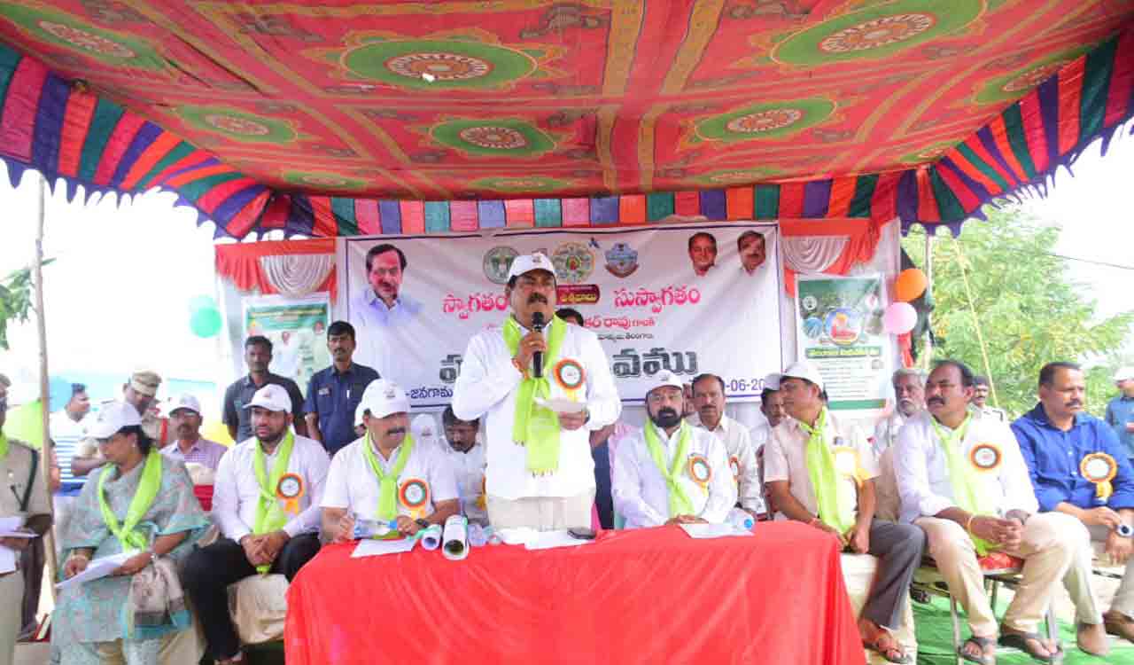 2.11 cr saplings planted under Haritha Haram in erstwhile Warangal : Errabelli