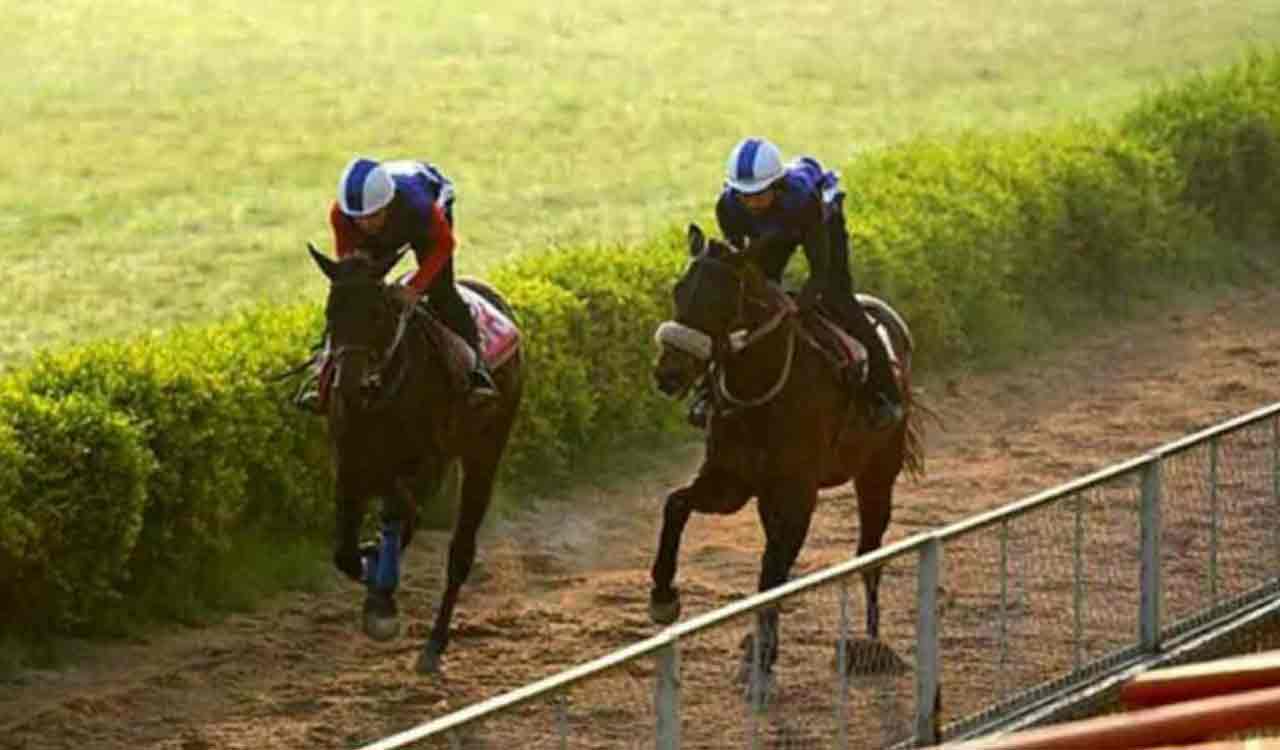 Horse Racing: Indian Patriot fancied for Mysuru feature