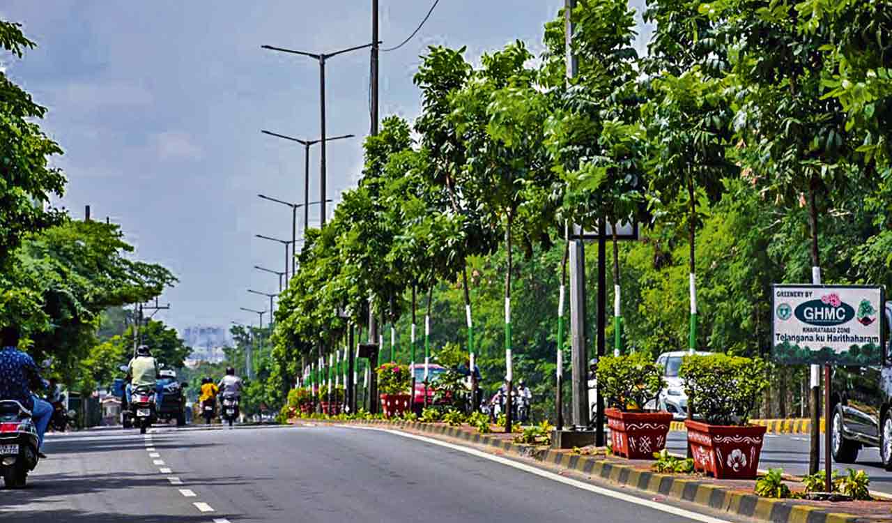 Haritha Haram makes Hyderabad an attractive destination
