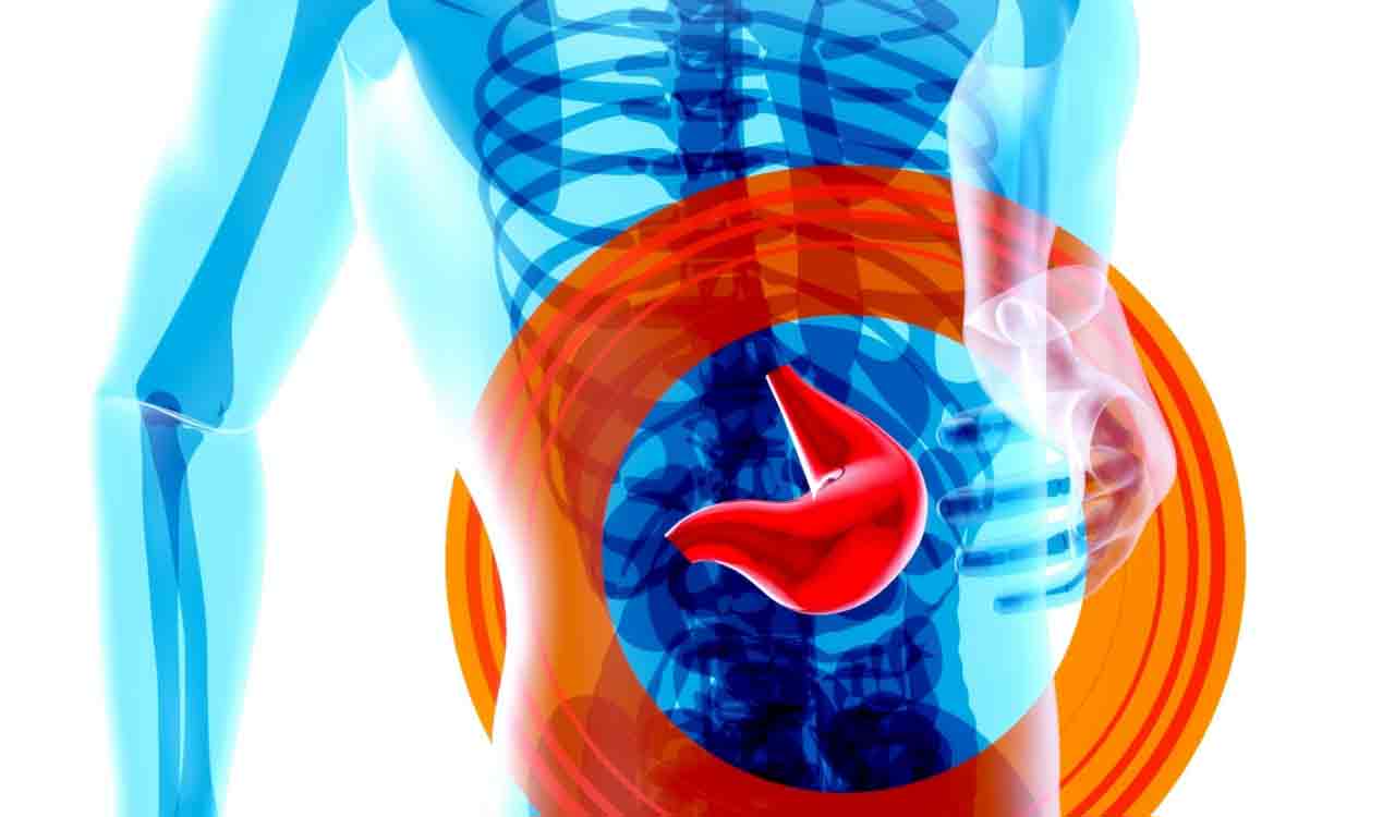 Study identifies potential new treatment for liver disease