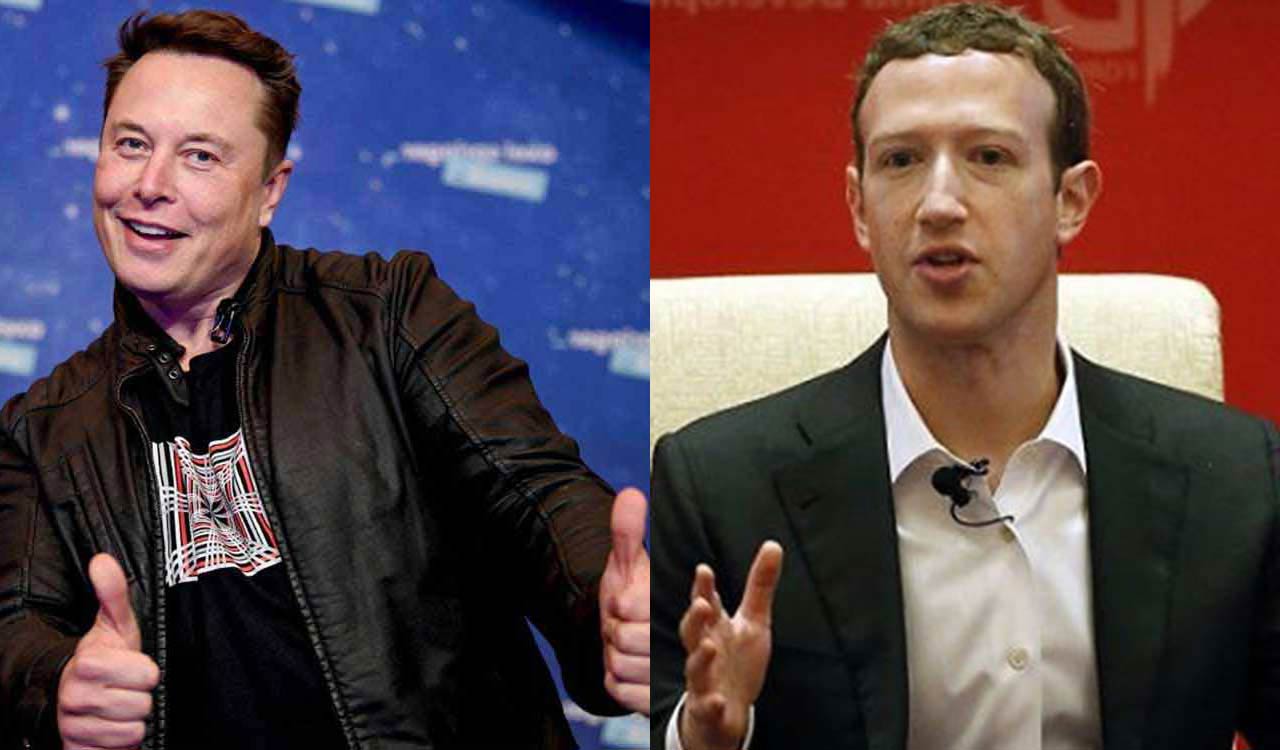 Elon Musk and Mark Zuckerberg fight can take place in Rome’s Colosseum ...