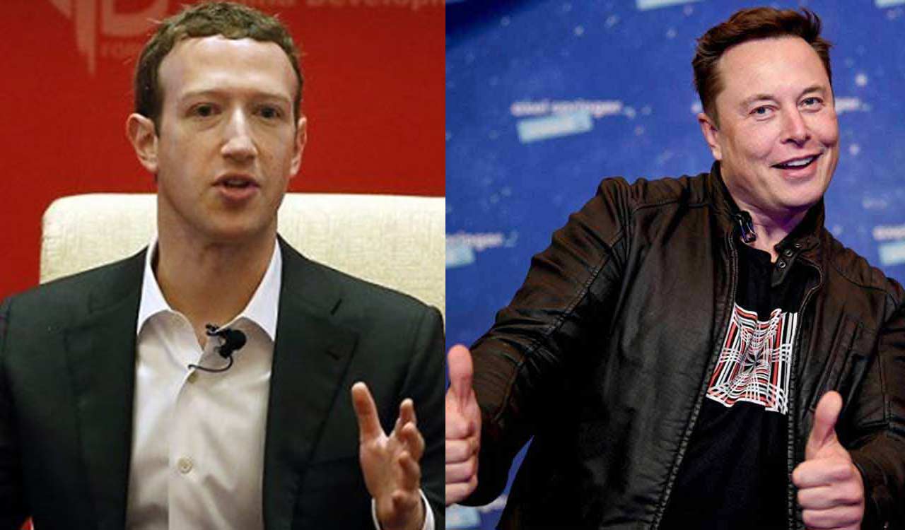 Meta CEO Mark Zuckerberg agrees to Elon Musk ‘s cage fight challenge ...