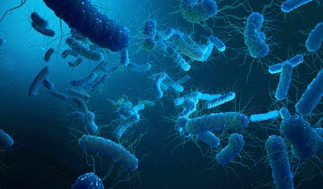 Rising typhoid cases prompt doctors to recommend vaccines