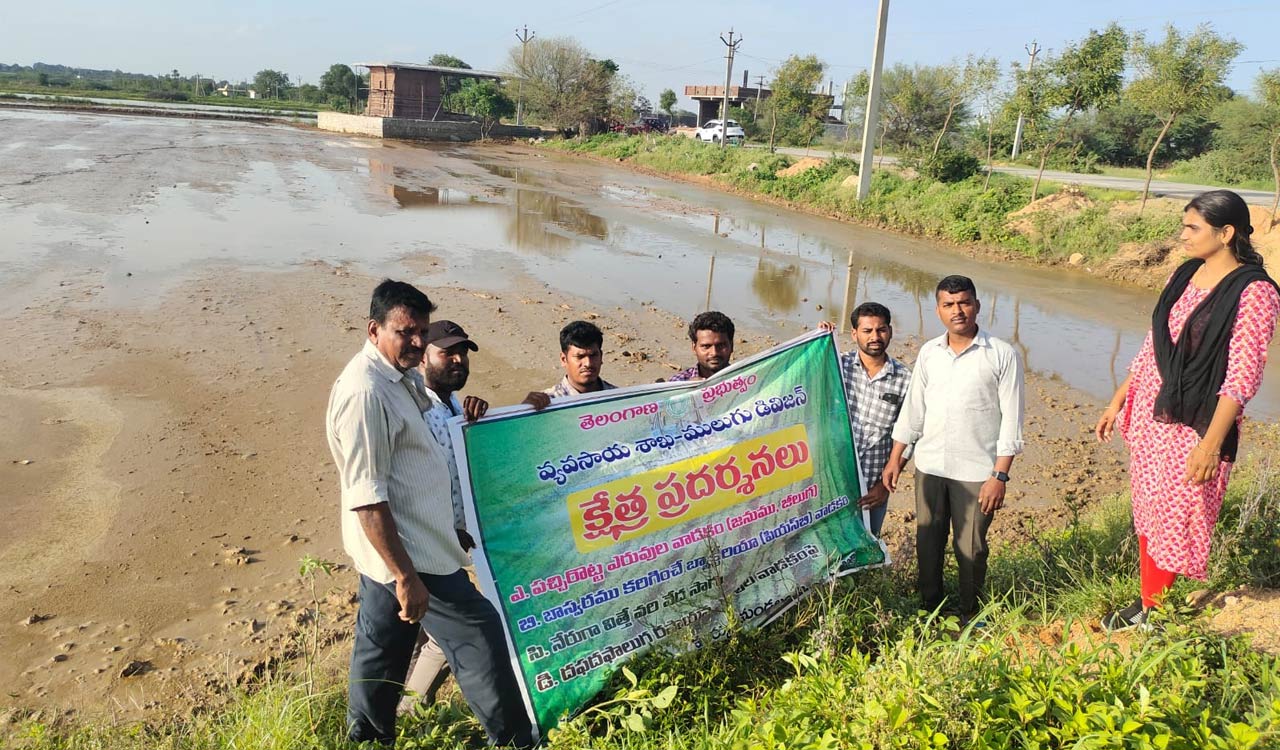 To mitigate impact of hailstorms, Agri dept to advance paddy cultivation period in Siddipet