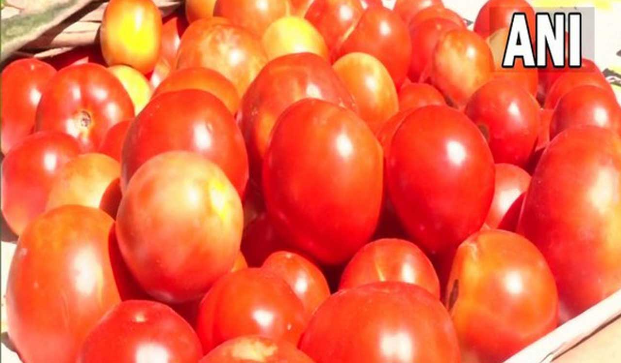 Skyrocketing Tomato prices squeeze common people’s budgets