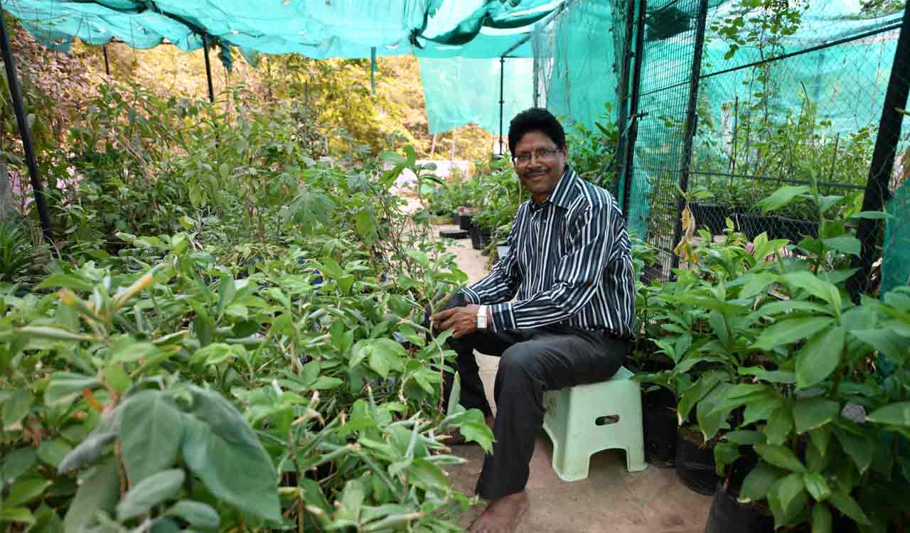 Hyderabad: Software professional goes natural way to control diabetes