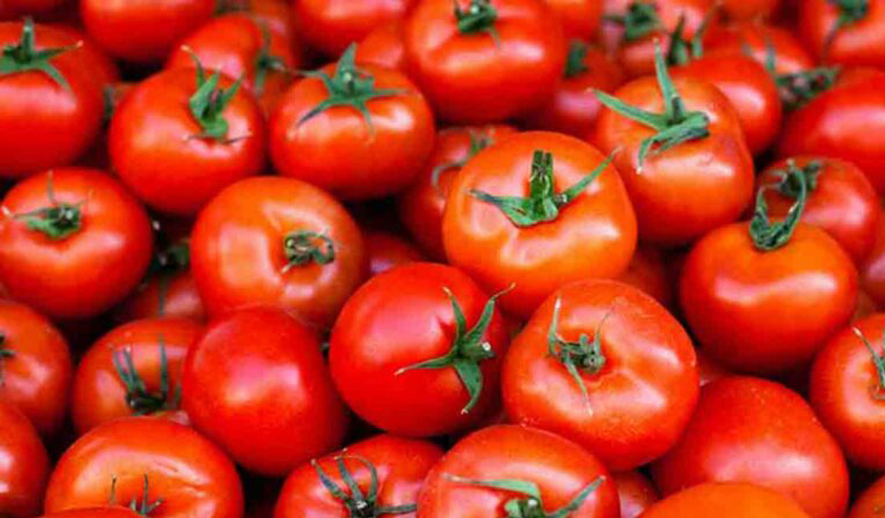 Karimnagar: Tomato prices shoot up to Rs 100 a kg