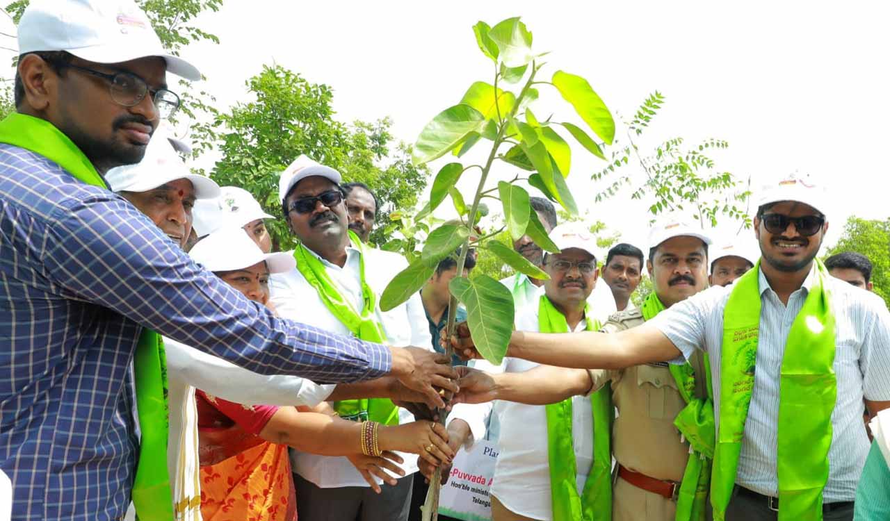 Haritha Haram brought revolutionary change in Telangana: Puvvada